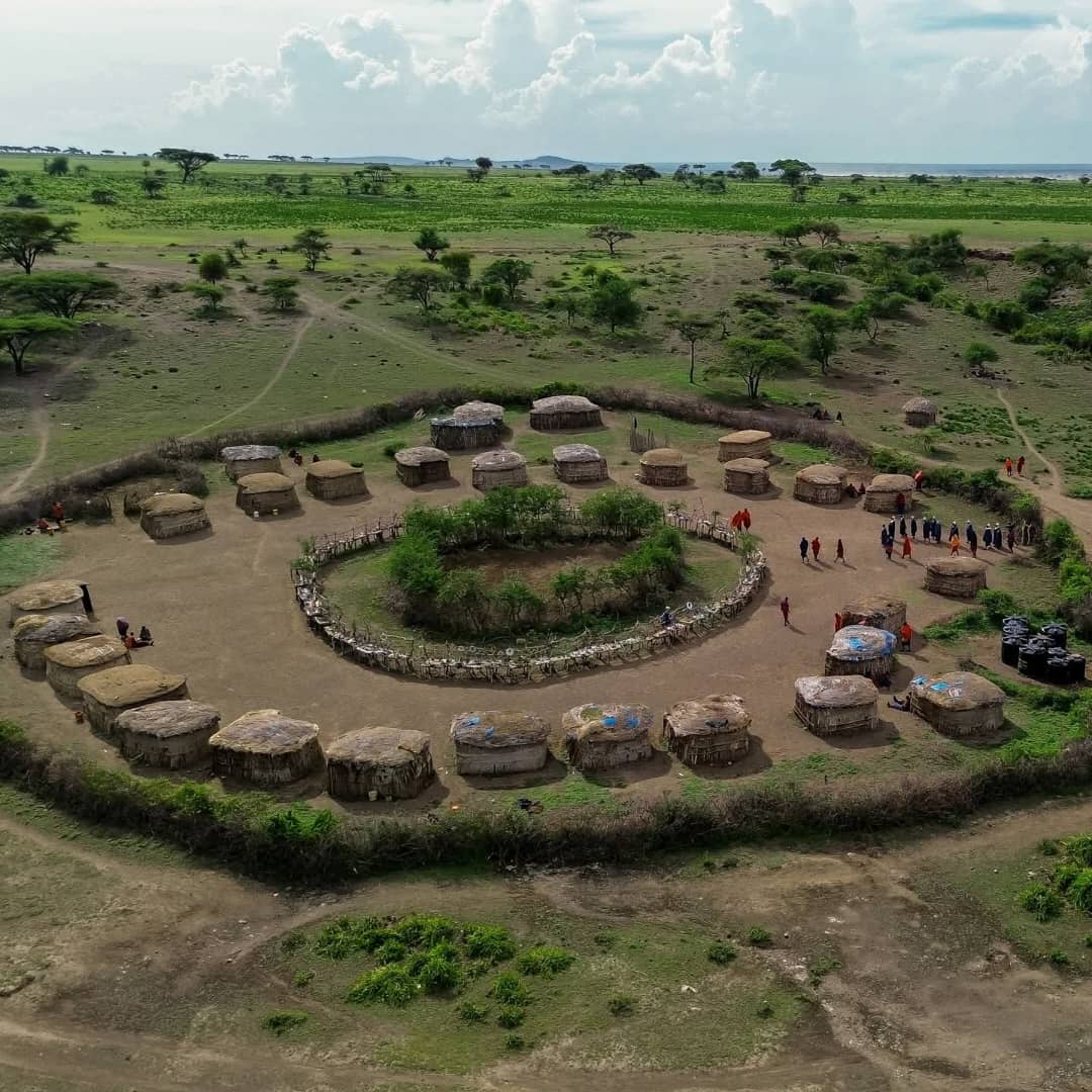 Private 4 day safari Tarangire, Serengeti and Ngorongoro