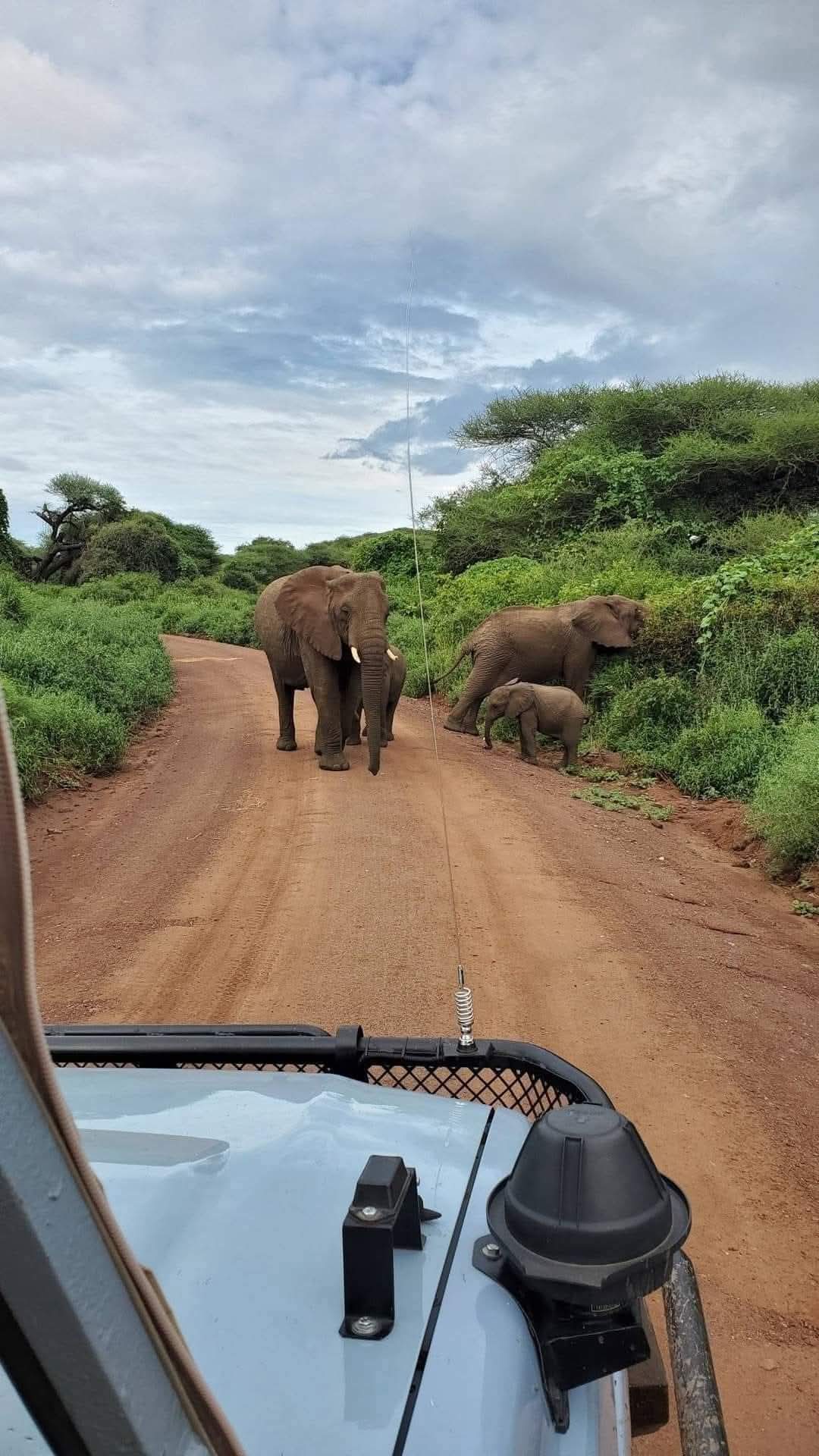 Private 2 day safari Tarangire and Ngorongoro