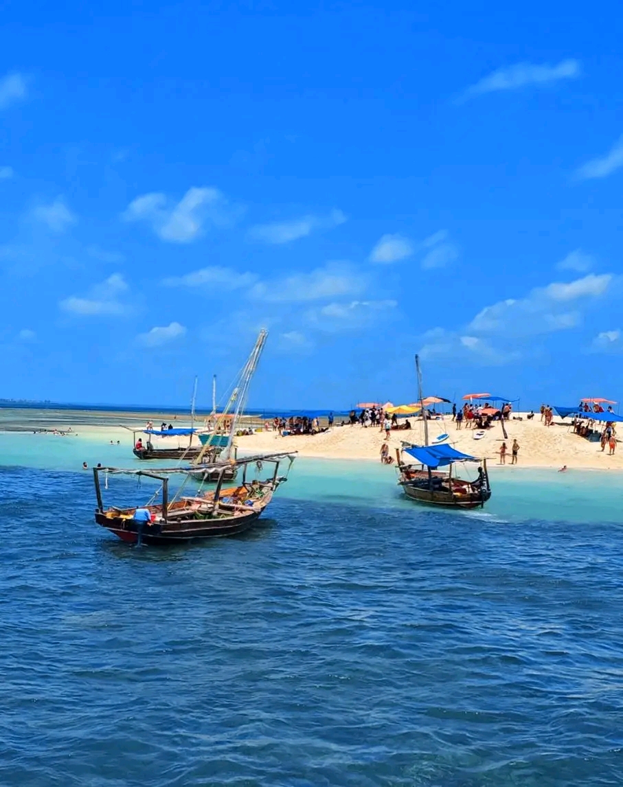 Safari Blue Zanzibar